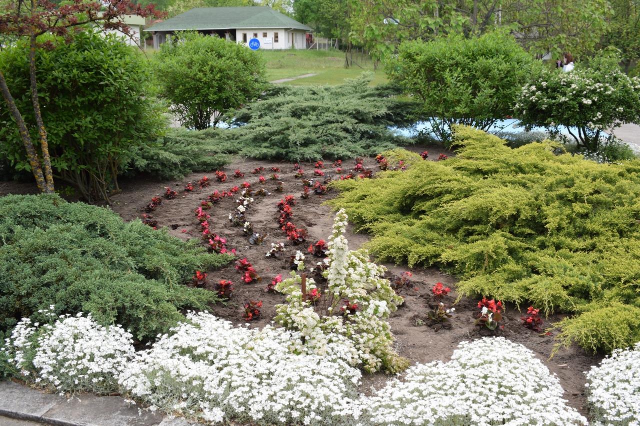 18404030 1415254141831280 1196826992026727203 o