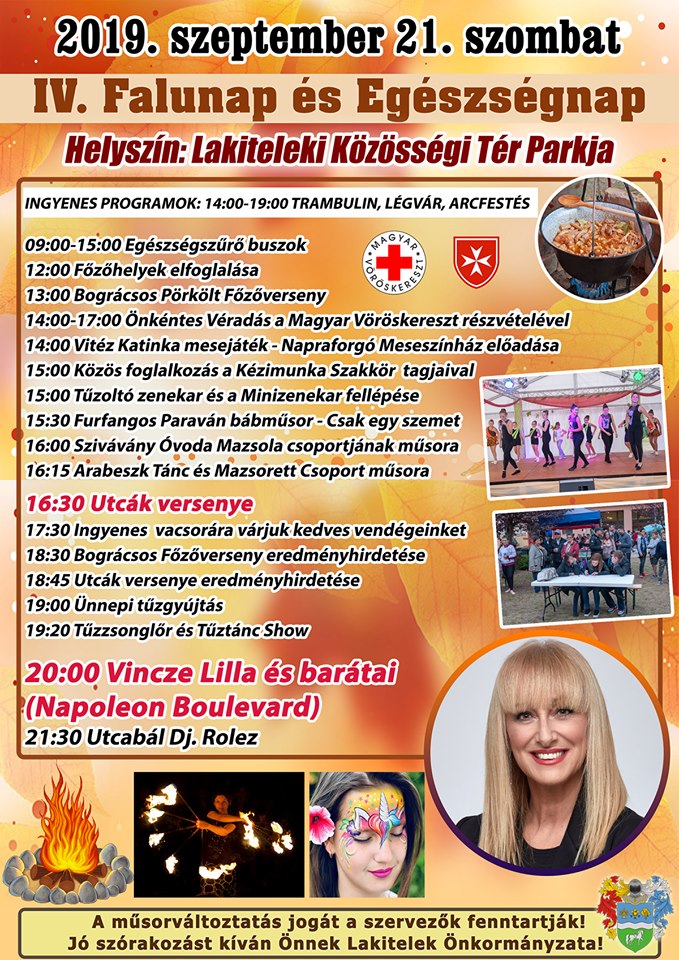 Falunap 2019 plaki