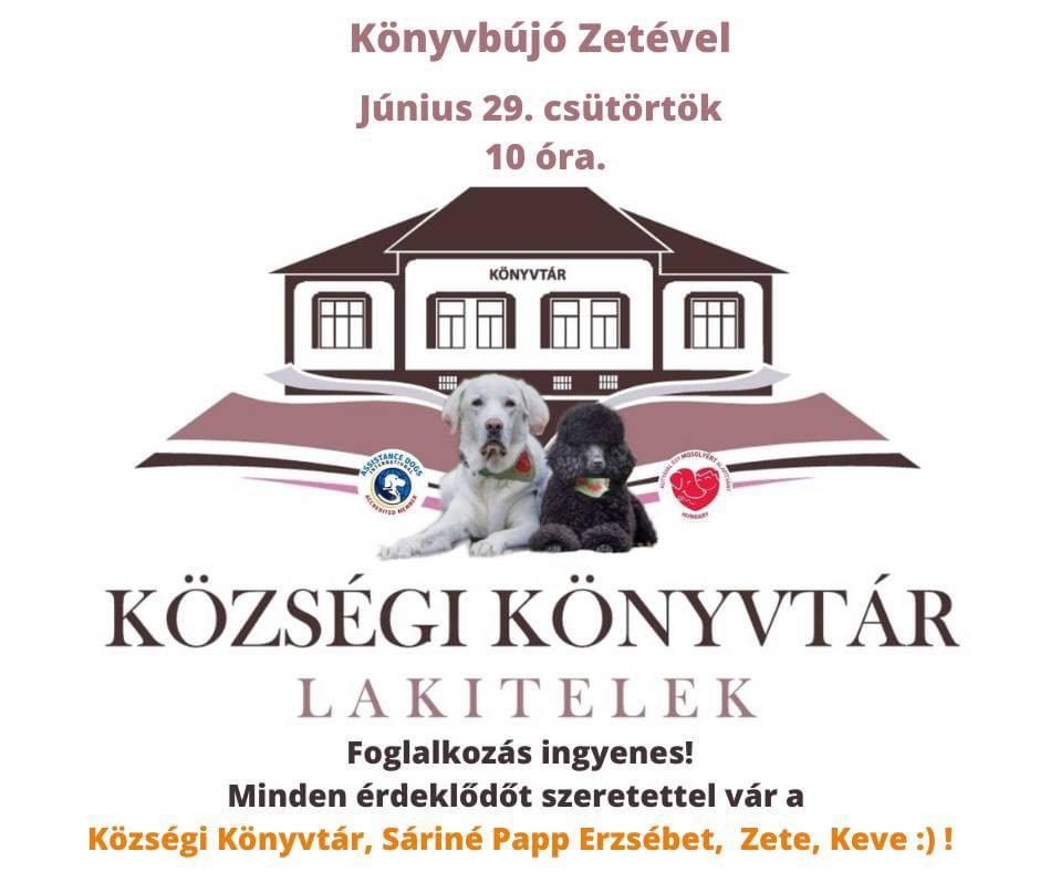konybujo zetevel