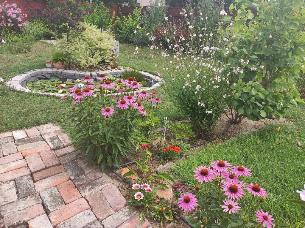 viragos_lakitelekert_3 (Közepes)