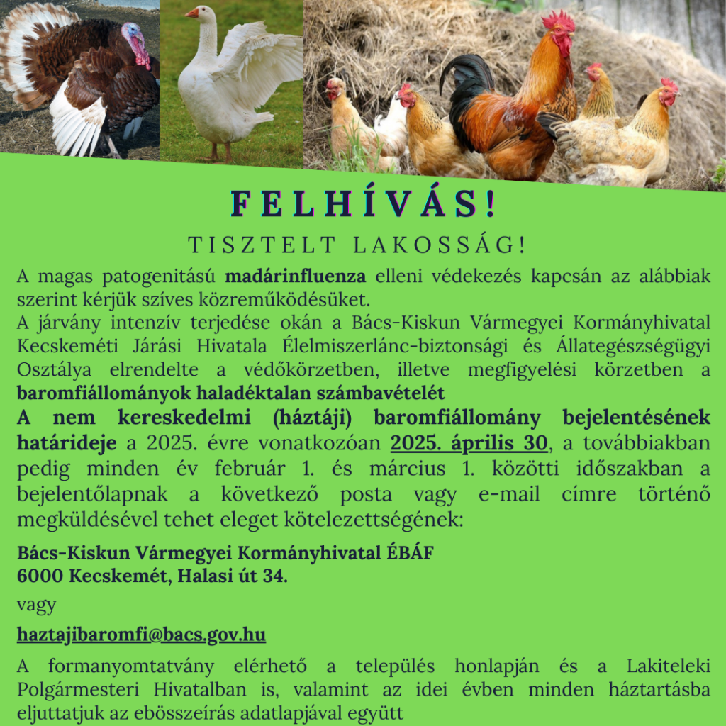 Felhívás – Nem kereskedelmi baromfi állományok bejelentése